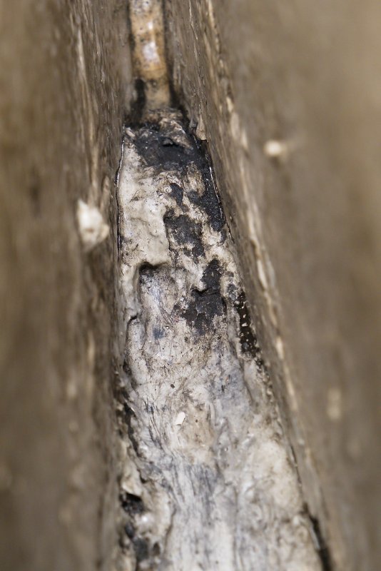 G9-1007961.jpg