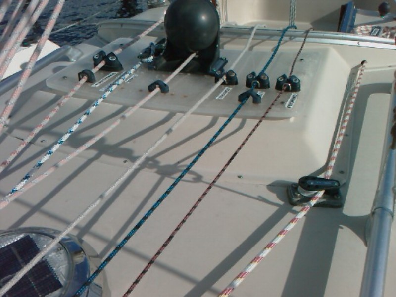 IMAG0156s.jpg